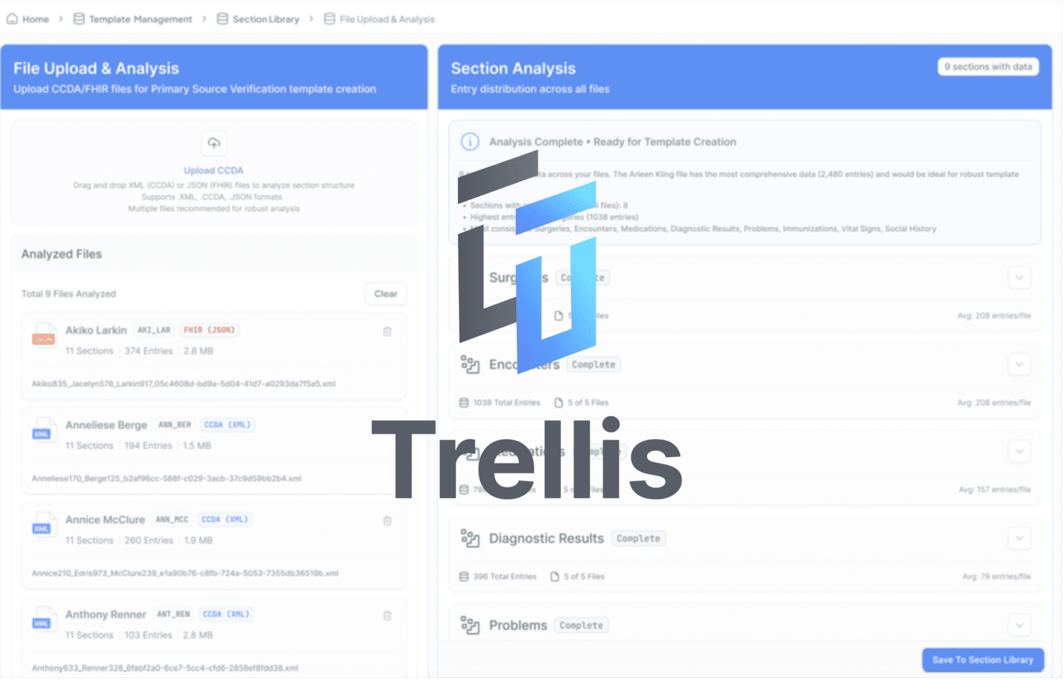 Trellis | Datavyne LLC